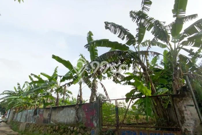 Untuk Dijual Tanah 1087m2 di Ciangsana, Bogor Untuk Dijual Tanah 1087m2 di Ciangsana, Bogor