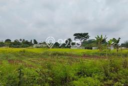 Tanah Dijual Lokasi Cileungsi, Bogor Luas 292m2 Legalitas Aman Tanah Dijual Lokasi Cileungsi, Bogor Luas 292m2 Legalitas Aman