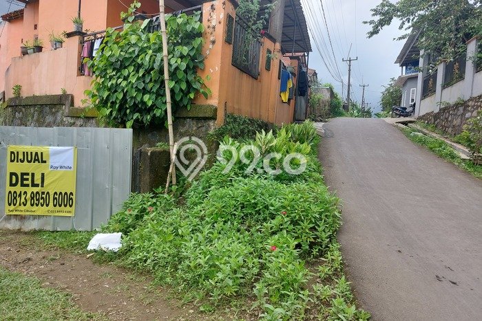 Jarang Ada! Tanah di Cibinong Punya Luas 6389m2 SHM Jarang Ada! Tanah di Cibinong Punya Luas 6389m2 SHM