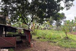 Lahan untuk Dijual di Jonggol Bogor Luas 2034m2 Lahan untuk Dijual di Jonggol Bogor Luas 2034m2