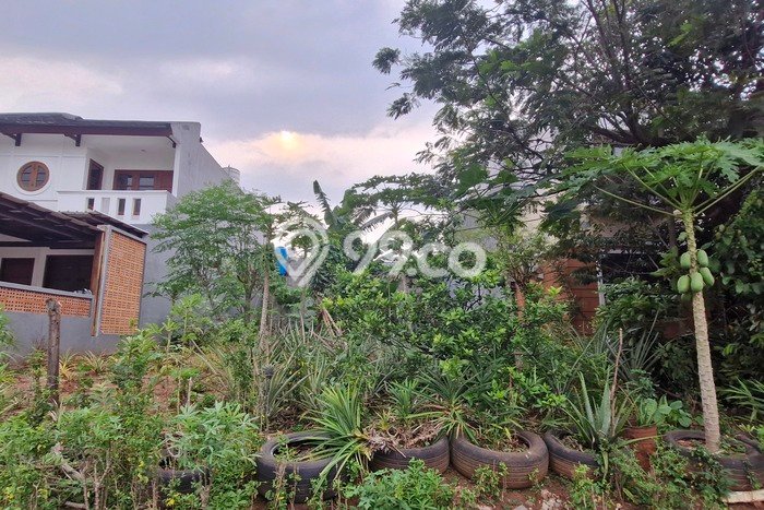 Tanah Investasi Dijual di Bogor Punya Luas 200m2 Tanah Investasi Dijual di Bogor Punya Luas 200m2