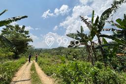 Tanah di Cileungsi, Bogor Luas 29591m2 Dijual Segera Tanah di Cileungsi, Bogor Luas 29591m2 Dijual Segera