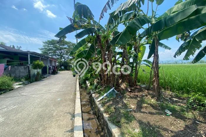 Tanah Siap Bangun Dijual di Bogor Punya Luas 2300m2 Tanah Siap Bangun Dijual di Bogor Punya Luas 2300m2