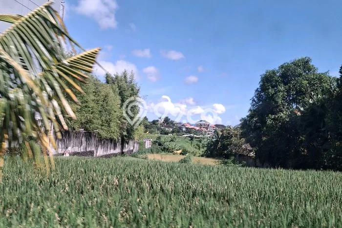 Tanah Komersial Dijual di Mengwi Badung 1000m2 Tanah Komersial Dijual di Mengwi Badung 1000m2