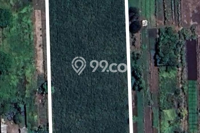 Lahan untuk Dijual di Sukodono Sidoarjo Luas 7767m2 Lahan untuk Dijual di Sukodono Sidoarjo Luas 7767m2