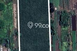 Lahan untuk Dijual di Sukodono Sidoarjo Luas 7767m2 Lahan untuk Dijual di Sukodono Sidoarjo Luas 7767m2