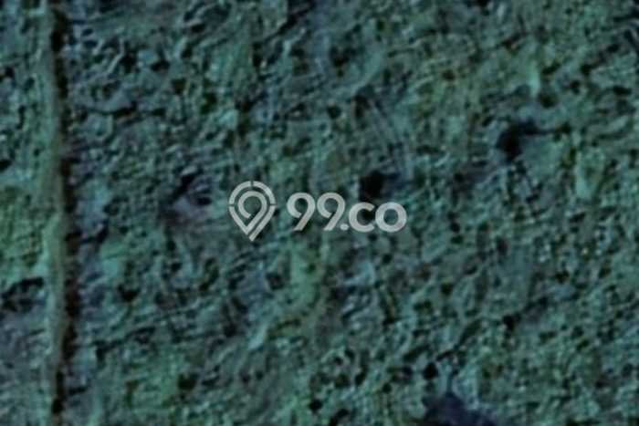Tanah Kavling untuk Dijual di Widang Tuban 40000m2 Tanah Kavling untuk Dijual di Widang Tuban 40000m2