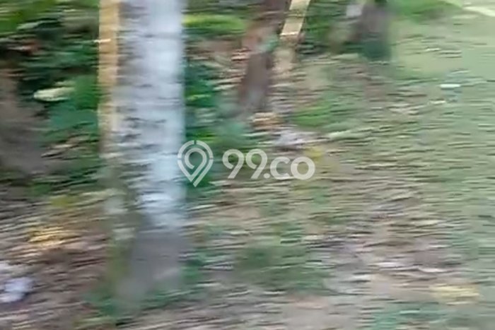 Tanah Strategis Kawasan Ubud, Luas 800m², Ideal untuk Bisnis, Disewakan Tanah Strategis Kawasan Ubud, Luas 800m², Ideal untuk Bisnis, Disewakan