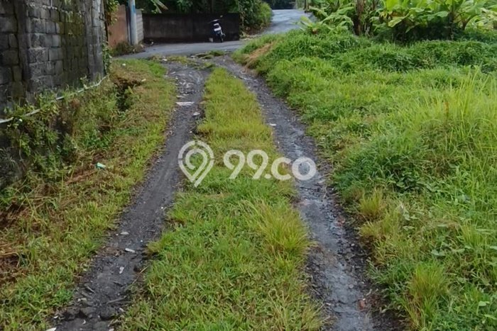 Kavling Tanah Lokasi Strategis di Ubud, Gianyar Disewakan 540m2 Kavling Tanah Lokasi Strategis di Ubud, Gianyar Disewakan 540m2