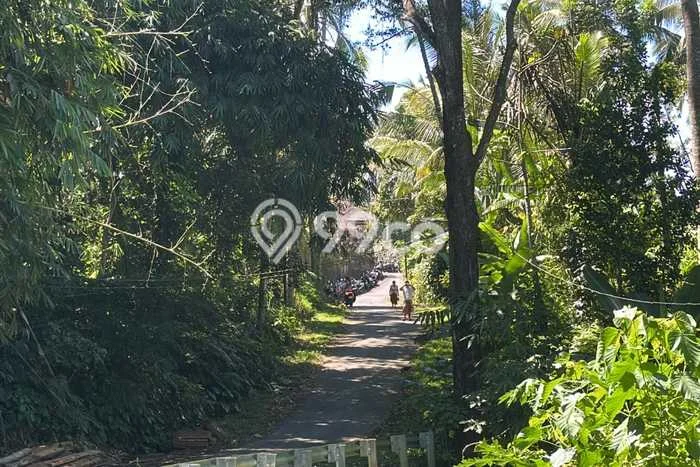 Tanah Potensial Kawasan Ubud, Luas 935m2m², Disewakan Tanah Potensial Kawasan Ubud, Luas 935m2m², Disewakan