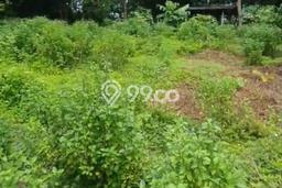 Tanah Komersial Dijual di Ubud Gianyar 170m2 Tanah Komersial Dijual di Ubud Gianyar 170m2