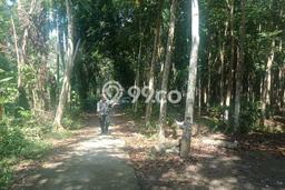 Tanah Kawasan Karangasem, Luas 18900m2m², Lokasi Strategis, Lingkungan Asri, Kontur Datar Tanah Kawasan Karangasem, Luas 18900m2m², Lokasi Strategis, Lingkungan Asri, Kontur Datar
