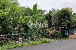 Lahan Strategis di Denpasar Barat Dijual dengan Luas 125m2 Lahan Strategis di Denpasar Barat Dijual dengan Luas 125m2