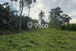 Lahan Disewakan di Ubud, Gianyar, Luas 300m2 SHM Lahan Disewakan di Ubud, Gianyar, Luas 300m2 SHM