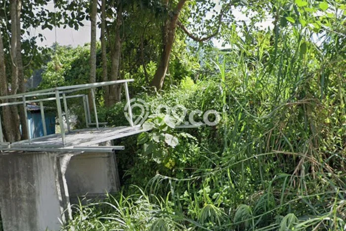 Tanah Investasi Disewakan di Ubud, Gianyar, Luas 1000m2 Tanah Investasi Disewakan di Ubud, Gianyar, Luas 1000m2