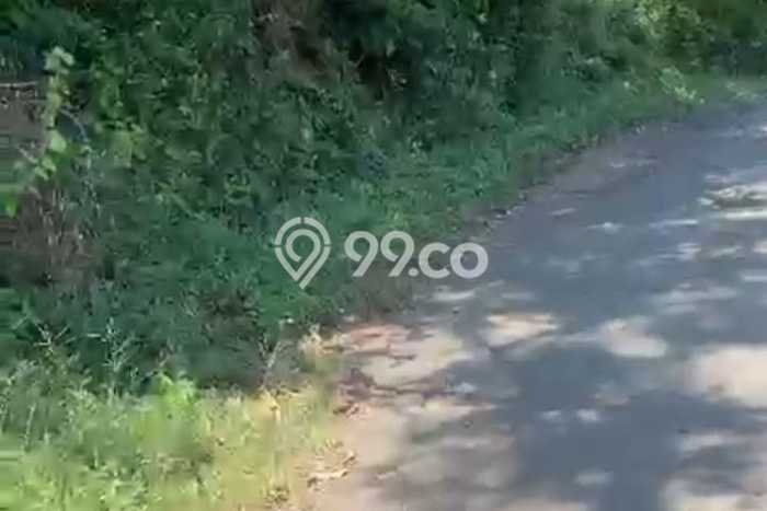 Dijual Tanah 50000m2 di Singaraja, Buleleng Dijual Tanah 50000m2 di Singaraja, Buleleng