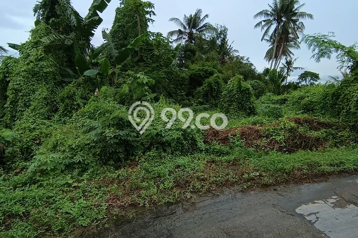 Untuk Dijual Tanah di Gianyar, Luas 200m2 SHM Untuk Dijual Tanah di Gianyar, Luas 200m2 SHM