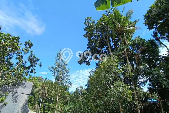 Disewakan Tanah di Ubud Luas 270m2 - Disewakan Tanah di Ubud Luas 270m2 -