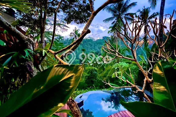 Villa one bedroom fasilitas lengkap siap huni Villa one bedroom fasilitas lengkap siap huni