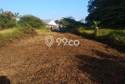 Kavling Tanah untuk Dijual di Batuaji, Tabanan, Luas 6700m2 Kavling Tanah untuk Dijual di Batuaji, Tabanan, Luas 6700m2