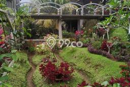 Rumah sewa 1 kamar di ubud selatan siap huni Rumah sewa 1 kamar di ubud selatan siap huni
