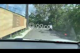 Tanah Disewa Strategis di Badung Luas 700m2 Tanah Disewa Strategis di Badung Luas 700m2