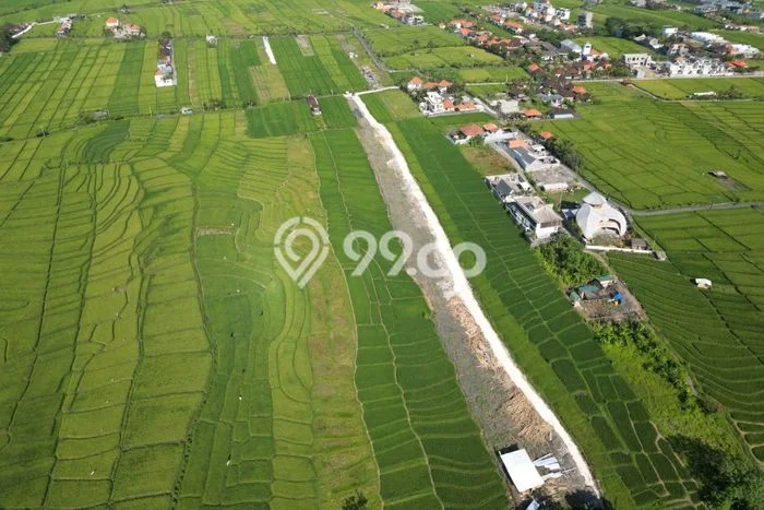 Untuk Dijual Tanah 200m2 di Umalas, Badung Untuk Dijual Tanah 200m2 di Umalas, Badung