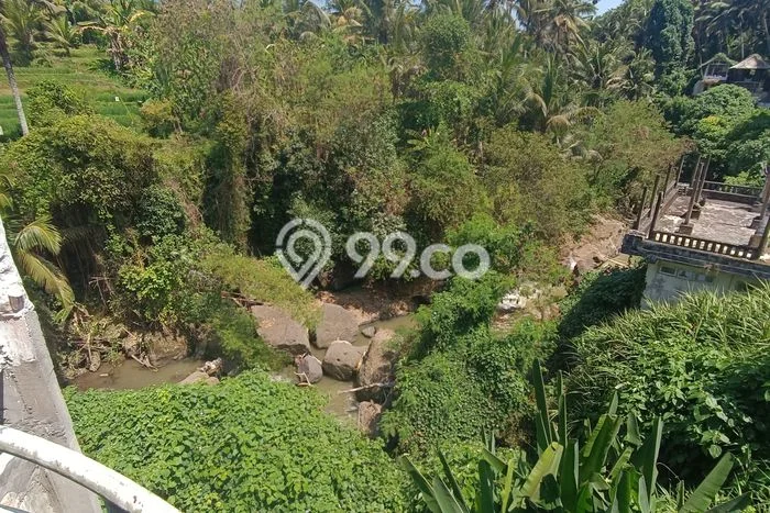 Siap Disewakan Tanah di Ubud Luas 3500m2 Area Potensial Siap Disewakan Tanah di Ubud Luas 3500m2 Area Potensial
