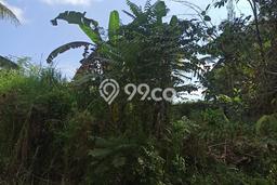 Tanah Kosong Dijual di Gianyar dengan Area 455m2 Tanah Kosong Dijual di Gianyar dengan Area 455m2