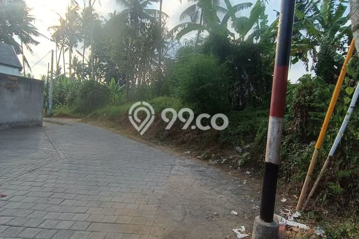 Disewakan Tanah Lokasi Strategis di Ubud Gianyar 750m2 Disewakan Tanah Lokasi Strategis di Ubud Gianyar 750m2