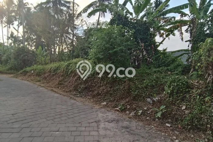 Disewakan Tanah Lokasi Strategis di Ubud Gianyar 750m2 Disewakan Tanah Lokasi Strategis di Ubud Gianyar 750m2