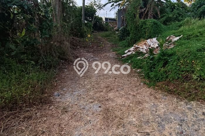 Disewakan Tanah Lokasi Strategis di Ubud Gianyar 750m2 Disewakan Tanah Lokasi Strategis di Ubud Gianyar 750m2
