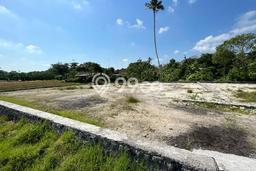 Kavling Tanah untuk Dijual di canggu, Badung, Luas 780m2 Kavling Tanah untuk Dijual di canggu, Badung, Luas 780m2