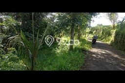 Tanah Dijual Lokasi Ubud, Gianyar Luas 850m2 Legalitas Aman Tanah Dijual Lokasi Ubud, Gianyar Luas 850m2 Legalitas Aman