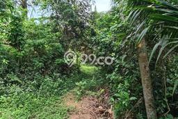 Tanah Dijual Lokasi Ubud Gianyar SHM Tanah Dijual Lokasi Ubud Gianyar SHM