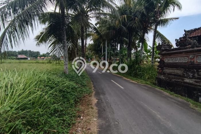 Tanah untuk Disewakan di Ubud Gianyar SHM Tanah untuk Disewakan di Ubud Gianyar SHM