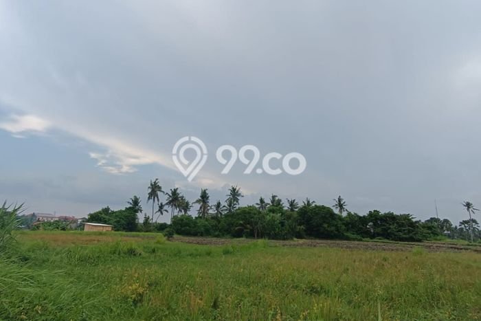 Tanah untuk Disewakan di Ubud Gianyar SHM Tanah untuk Disewakan di Ubud Gianyar SHM