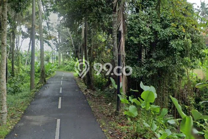 Tanah Disewakan di Ubud, Gianyar, Luas 900m2 SHM Tanah Disewakan di Ubud, Gianyar, Luas 900m2 SHM