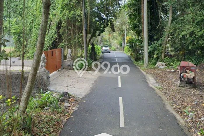 Tanah Disewakan di Ubud, Gianyar, Luas 900m2 SHM Tanah Disewakan di Ubud, Gianyar, Luas 900m2 SHM