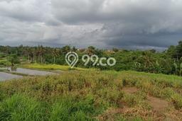 Tanah di Ubud, Gianyar Luas 1000m2 Dijual Segera Tanah di Ubud, Gianyar Luas 1000m2 Dijual Segera