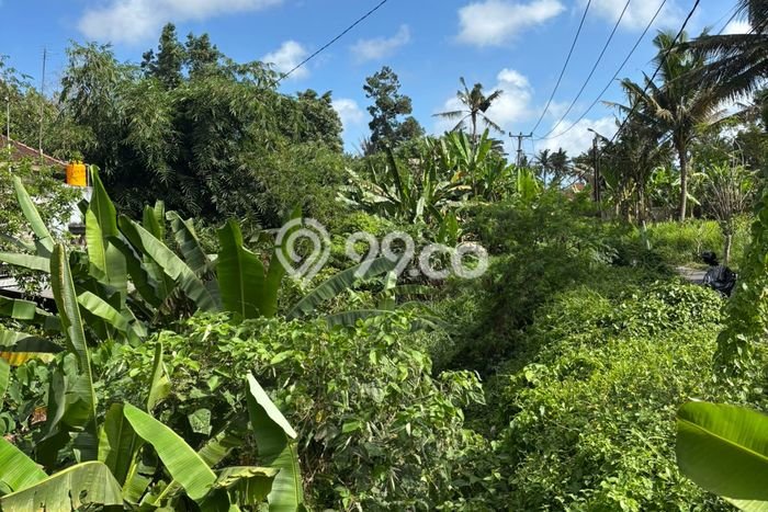 Untuk Dijual Tanah di Gianyar, Luas 205m2 SHM Untuk Dijual Tanah di Gianyar, Luas 205m2 SHM