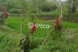 Lahan untuk Dijual Lokasi Ubud, Gianyar Luas 1850m2 SHM Lahan untuk Dijual Lokasi Ubud, Gianyar Luas 1850m2 SHM