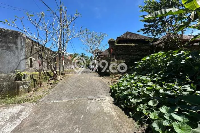 Tanah Potensial Kawasan Ubud, Luas 935m2m², Disewakan Tanah Potensial Kawasan Ubud, Luas 935m2m², Disewakan
