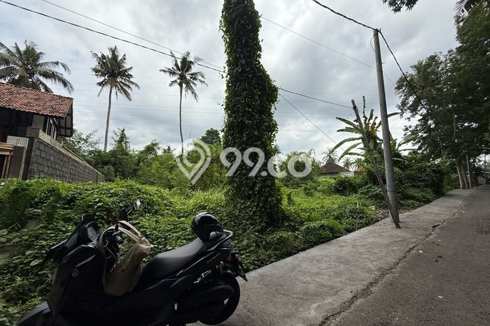 Tanah Komersial Disewakan di Ubud Gianyar Seluas 470m2 Tanah Komersial Disewakan di Ubud Gianyar Seluas 470m2