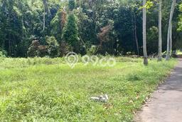 Tanah Lokasi Strategis Kawasan Ubud, Luas 1000m2m², Dekat ke Pusat Kota Tanah Lokasi Strategis Kawasan Ubud, Luas 1000m2m², Dekat ke Pusat Kota