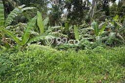 Tanah Dijual Lokasi Ubud, Gianyar Luas 200m2 Legalitas Aman Tanah Dijual Lokasi Ubud, Gianyar Luas 200m2 Legalitas Aman