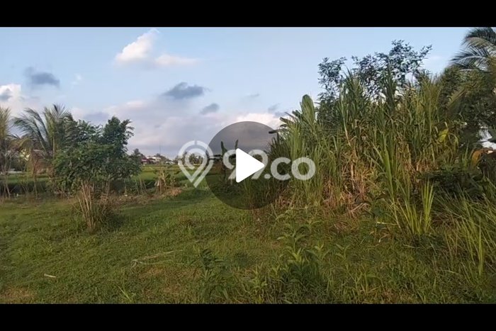 Siap Disewakan Tanah di Ubud Luas 2700m2 Area Potensial Siap Disewakan Tanah di Ubud Luas 2700m2 Area Potensial