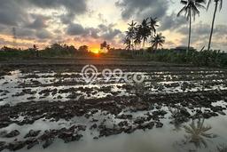 Disewakan segera hunian minimalis lokasi strategis 2 Kamar di Ubud, Gianyar Disewakan segera hunian minimalis lokasi strategis 2 Kamar di Ubud, Gianyar