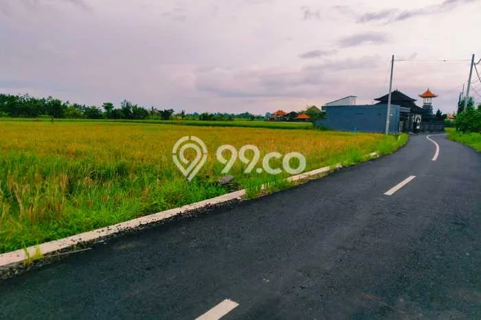 Tanah Area Prospektif Kawasan Kaba kaba, Luas 300m², Dekat ke Pusat Kota, Lingkungan Nyaman Tanah Area Prospektif Kawasan Kaba kaba, Luas 300m², Dekat ke Pusat Kota, Lingkungan Nyaman