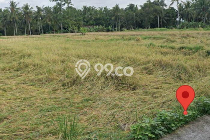 Tanah untuk Disewakan di Ubud Gianyar SHM Tanah untuk Disewakan di Ubud Gianyar SHM